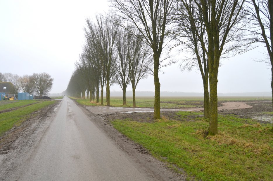 Polderweg 0074